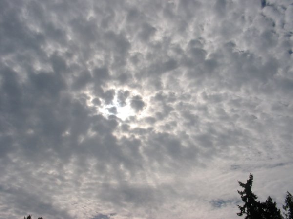 altocumulus