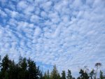 stratocumulus